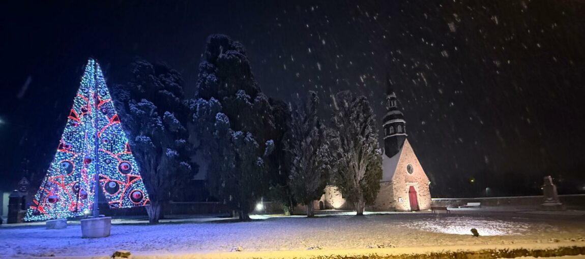 IMG-20260105-WA0003 (1)